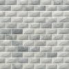 Carrara White 1×2 3d Polished