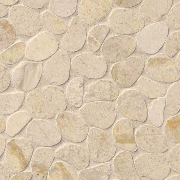 Coastal Sand Pebbles