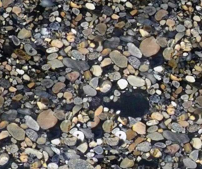 Black Mosaic Granite