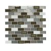 Daltile Crystal Shores CS96 2x1 Emerald Isle