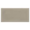 Daltile Retrospace RS32 3x6 Sycamore Tan