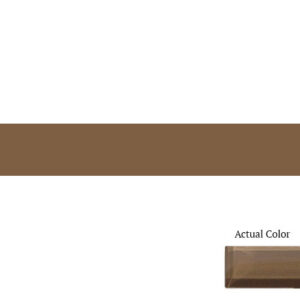 Daltile Color Wave CW10 2x12 Suede Shoes