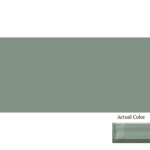 Daltile Color Wave CW16 3x6 Oak Moss