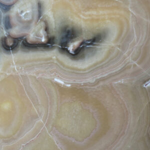 Onyx Brown