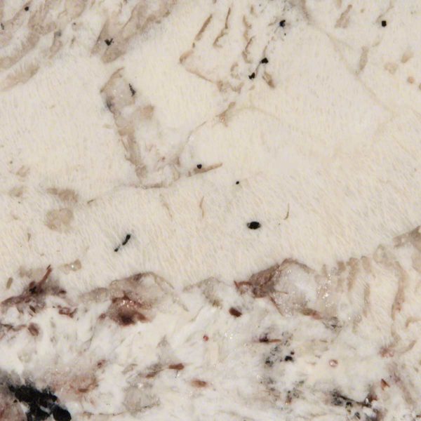Alps White Granite