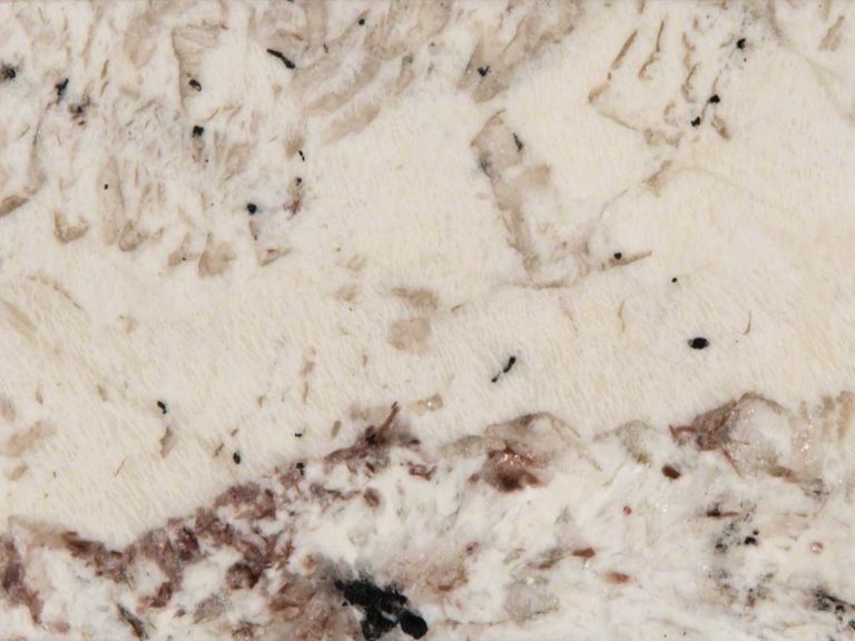 Alps White Granite Slab