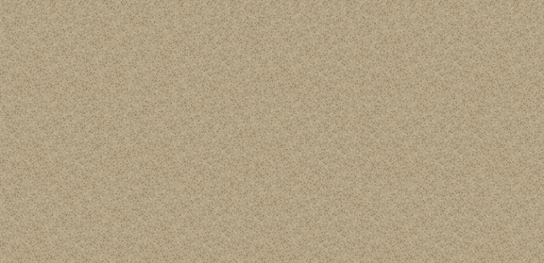 Bamboo Silestone Quartz Full Slab