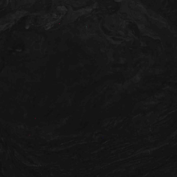 Brilliant Black Quartzite