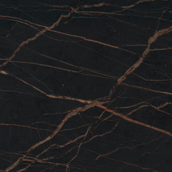 Laurent Dekon Detail