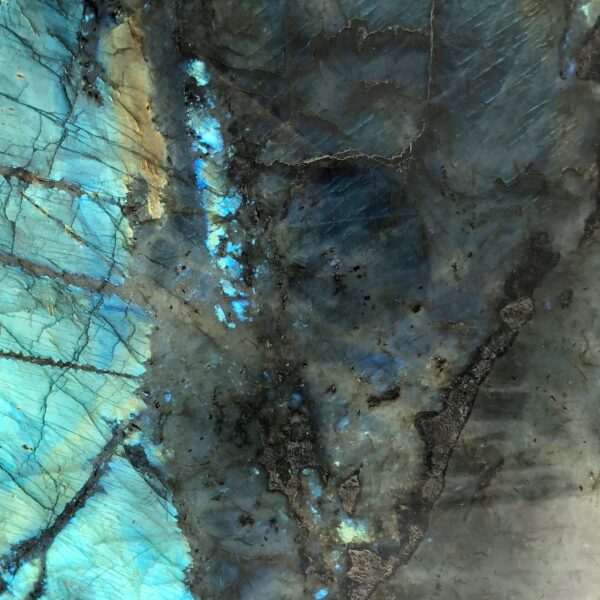 Lemurian Baobab Granite