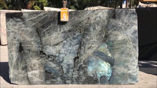 Lemurian Baobab Granite Slab1