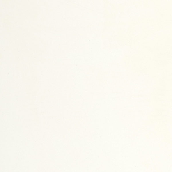 Vivid White Caesarstone Quartz