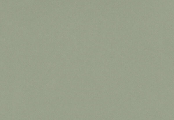 Posidonia Green Silestone Quartz